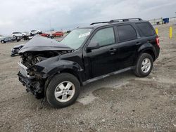 Salvage cars for sale at Earlington, KY auction: 2012 Ford Escape XLT