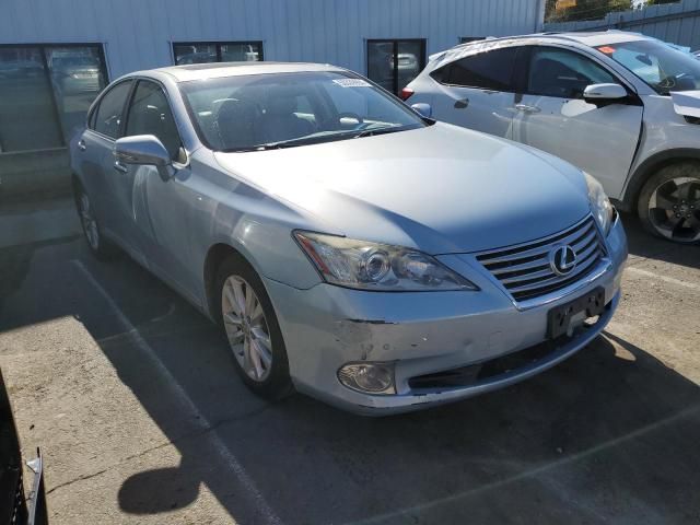 2010 Lexus ES 350