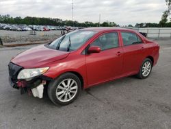 Salvage cars for sale from Copart Dunn, NC: 2009 Toyota Corolla Base