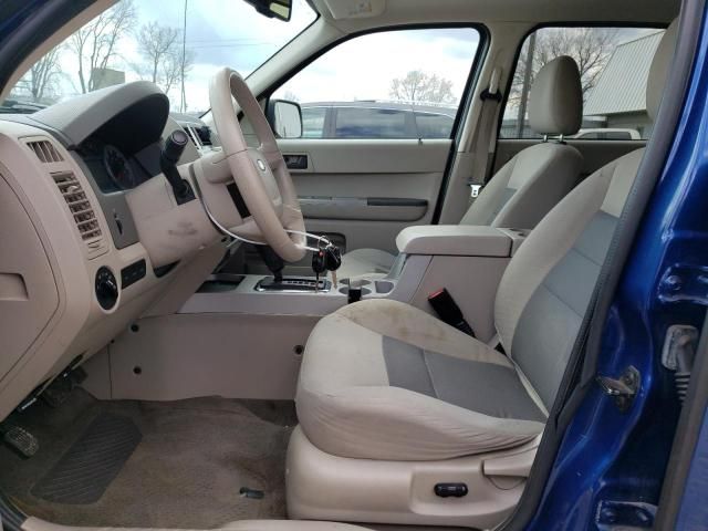 2008 Ford Escape XLT