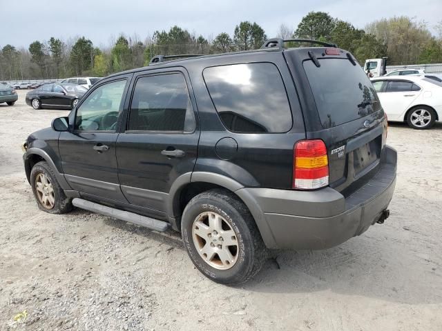 2006 Ford Escape XLT