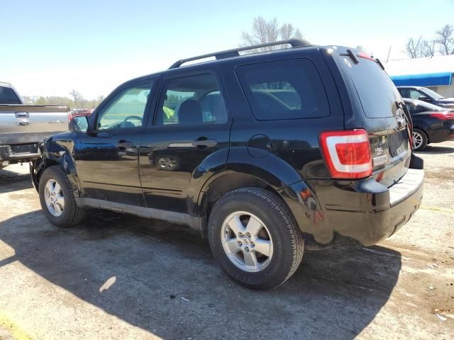 2009 Ford Escape XLT