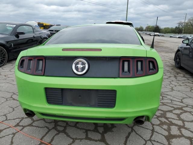 2013 Ford Mustang