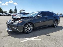 Lexus ES 300H salvage cars for sale: 2016 Lexus ES 300H