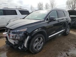 Salvage cars for sale at Elgin, IL auction: 2023 Hyundai Santa FE SEL Premium