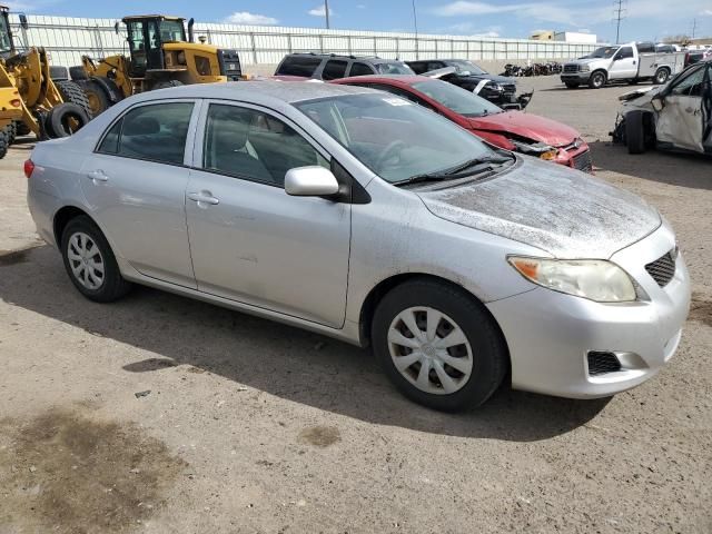 2010 Toyota Corolla Base