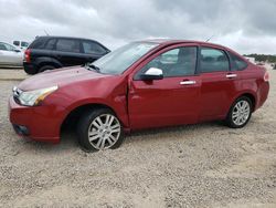 Ford Focus sel salvage cars for sale: 2010 Ford Focus SEL