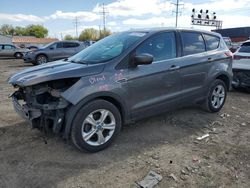 Salvage cars for sale at Columbus, OH auction: 2013 Ford Escape SE