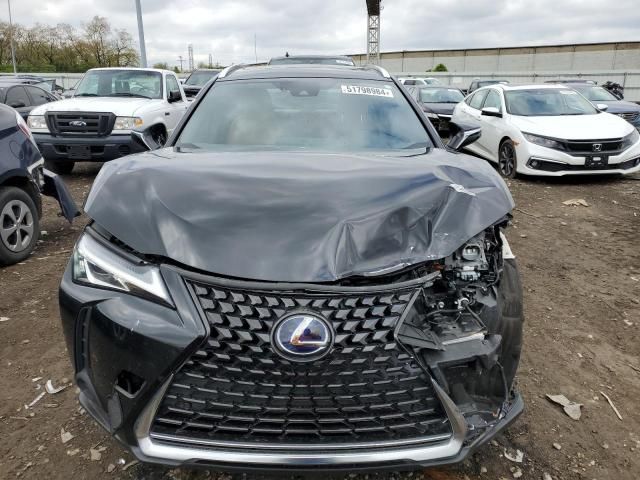 2019 Lexus UX 250H