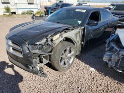 Salvage cars for sale from Copart Phoenix, AZ: 2014 Dodge Charger R/T