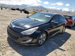 Hyundai Sonata Hybrid salvage cars for sale: 2013 Hyundai Sonata Hybrid