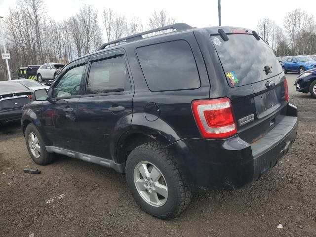 2010 Ford Escape XLT