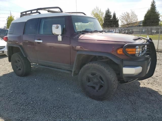 2007 Toyota FJ Cruiser