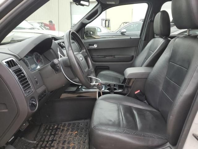 2010 Ford Escape Limited