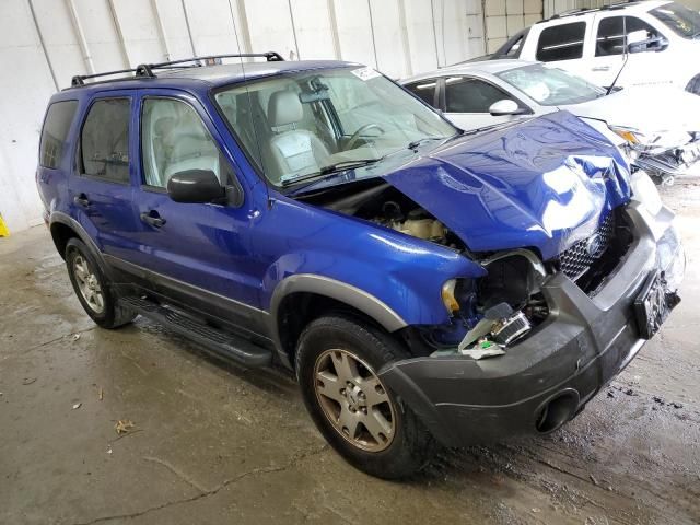 2005 Ford Escape XLT