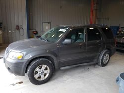 Salvage cars for sale at Appleton, WI auction: 2006 Ford Escape XLT