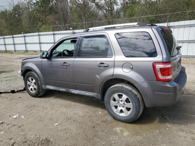 2010 Ford Escape Limited