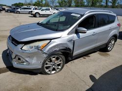 Salvage cars for sale at Bridgeton, MO auction: 2014 Ford Escape Titanium