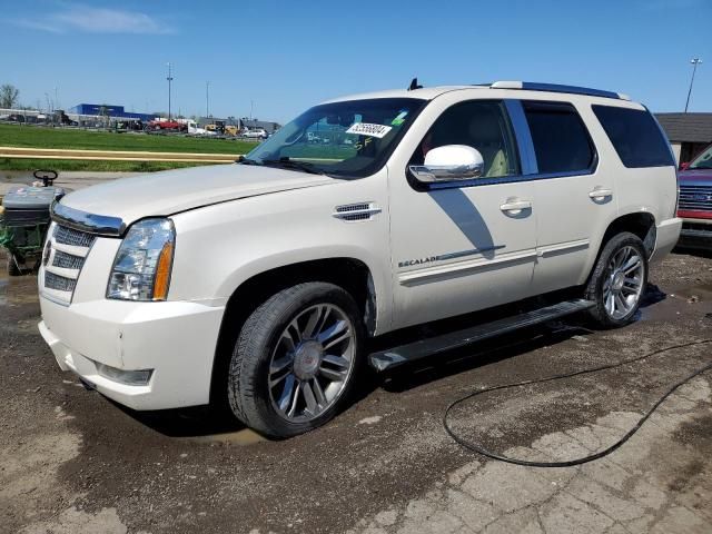 2013 Cadillac Escalade Premium