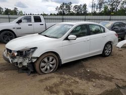 Salvage cars for sale at Harleyville, SC auction: 2009 Honda Accord EXL