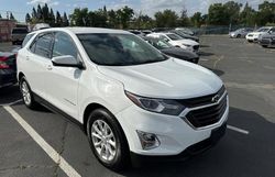 Salvage cars for sale from Copart Sacramento, CA: 2019 Chevrolet Equinox LT
