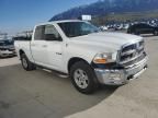 2010 Dodge RAM 1500