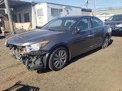 Salvage cars for sale at New Britain, CT auction: 2011 Honda Accord EXL