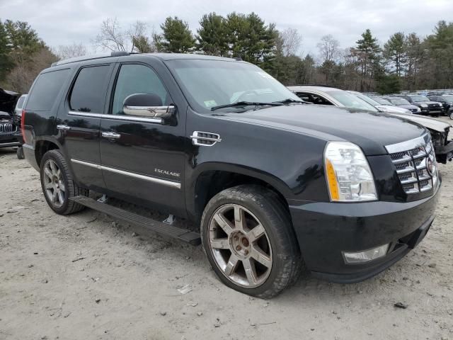 2010 Cadillac Escalade Premium