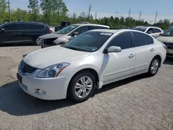 Nissan Vehiculos salvage en venta: 2010 Nissan Altima Base