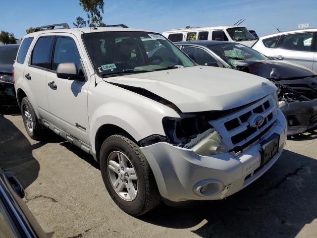 2009 Ford Escape Hybrid