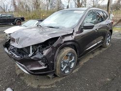 Salvage cars for sale from Copart Marlboro, NY: 2023 Ford Escape ST Line