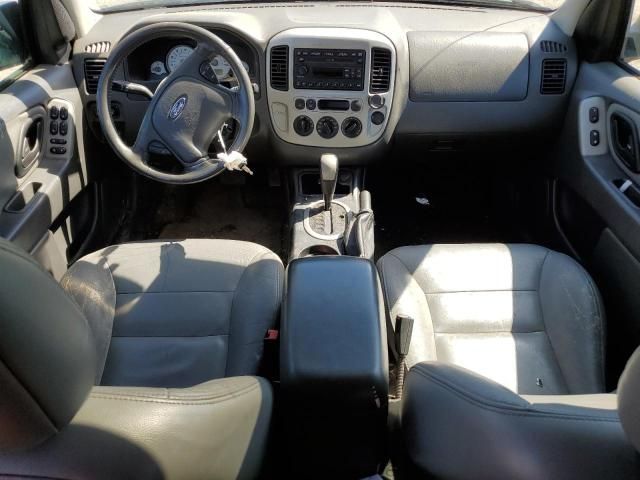 2006 Ford Escape XLT