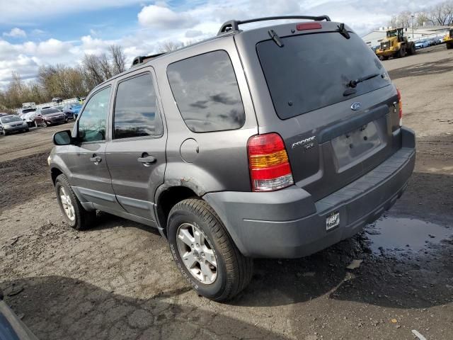 2006 Ford Escape XLT