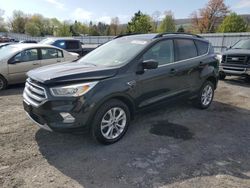 Ford Escape salvage cars for sale: 2017 Ford Escape SE