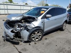 Ford Escape sel salvage cars for sale: 2013 Ford Escape SEL