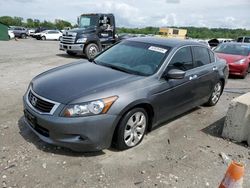 Salvage cars for sale at Cahokia Heights, IL auction: 2009 Honda Accord EXL