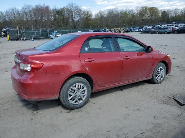 2011 Toyota Corolla Base