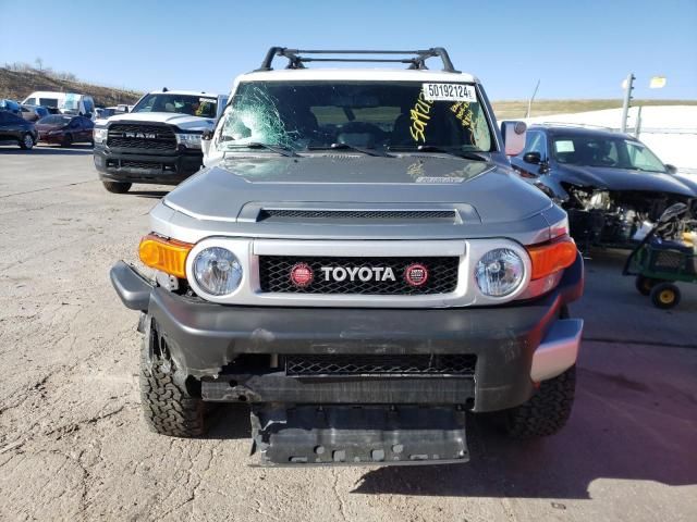 2010 Toyota FJ Cruiser