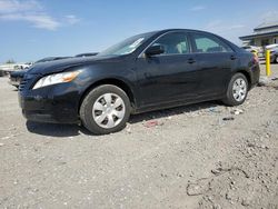 Salvage cars for sale from Copart Earlington, KY: 2007 Toyota Camry CE