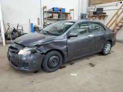 Salvage cars for sale at Ham Lake, MN auction: 2012 Toyota Corolla Base