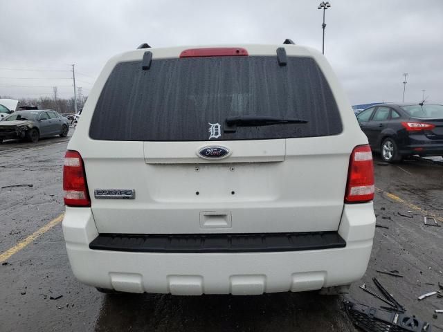 2010 Ford Escape XLT