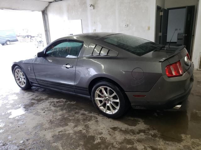 2010 Ford Mustang