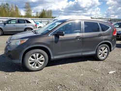 Salvage cars for sale at Arlington, WA auction: 2014 Honda CR-V EXL