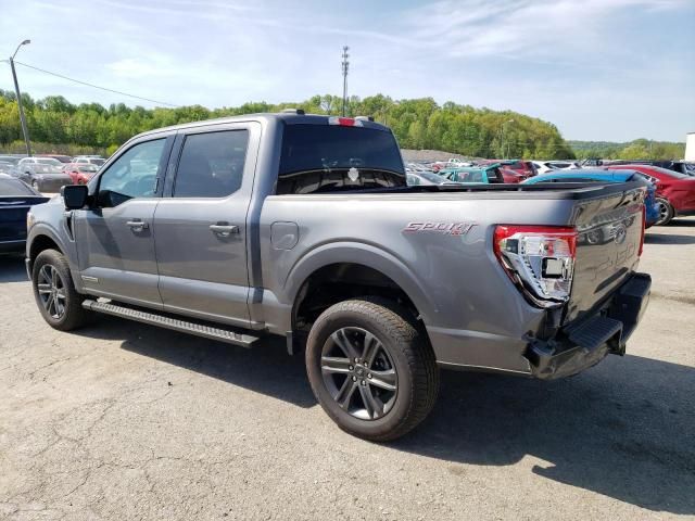 2023 Ford F150 Supercrew