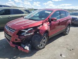 Salvage cars for sale at Cahokia Heights, IL auction: 2013 Ford Escape SEL