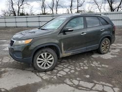 Salvage cars for sale from Copart West Mifflin, PA: 2011 KIA Sorento Base