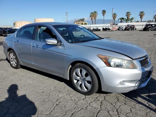 2010 Honda Accord EXL