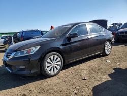 Honda Accord EXL Vehiculos salvage en venta: 2014 Honda Accord EXL