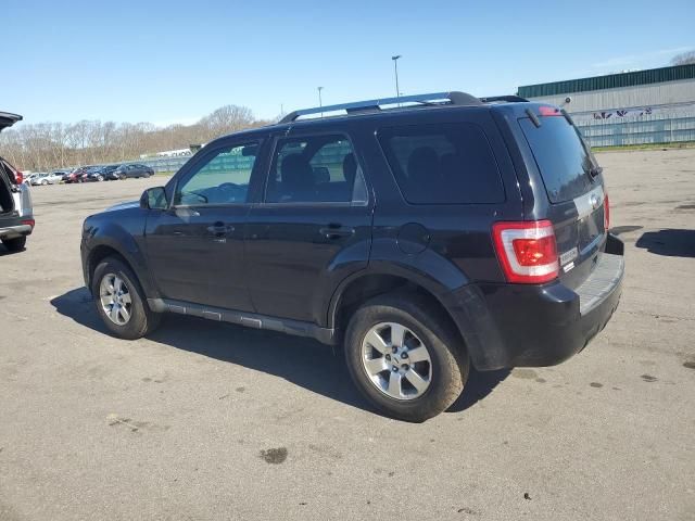 2010 Ford Escape Limited