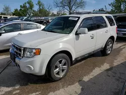 Hail Damaged Cars for sale at auction: 2012 Ford Escape Limited